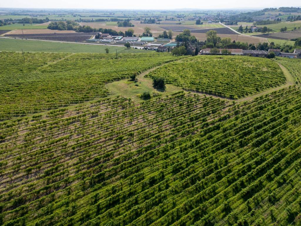 Rustico / casale a Casale monferrato - Foto 3