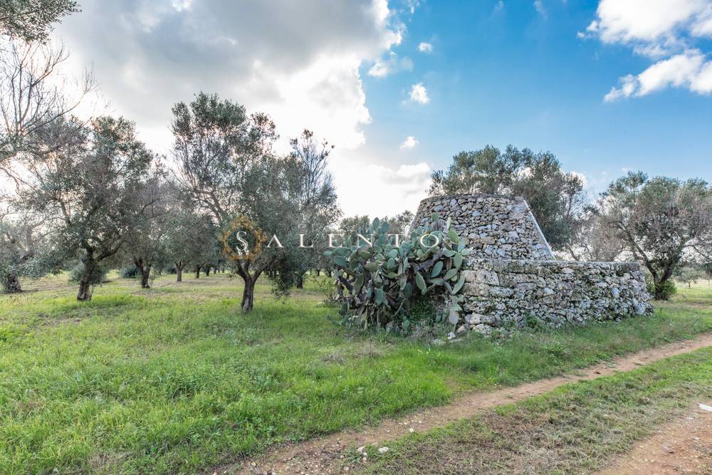 Rustico / casale a Salve in Strada Comunale Palombara - Foto 5