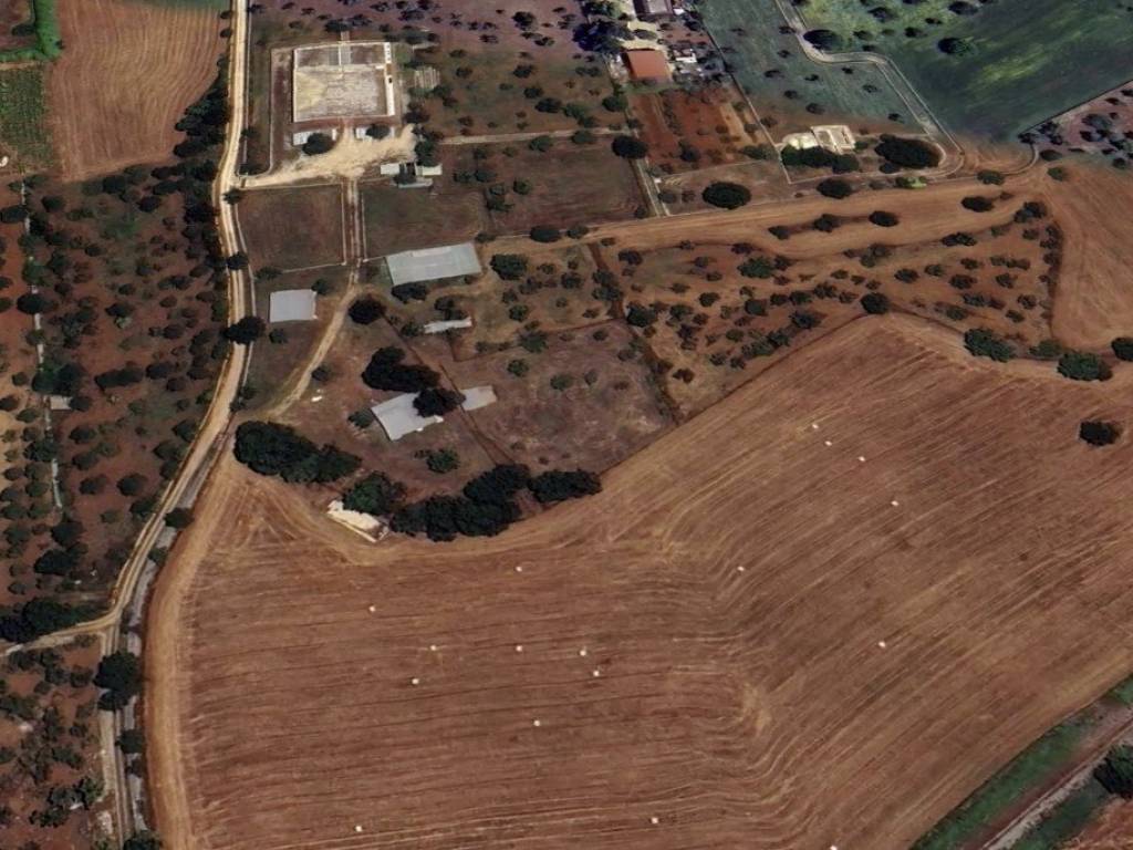 Rustico / casale a Gioia del colle - Foto 3