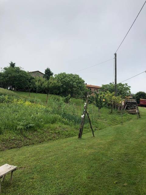 Rustico / casale a Asciano - Foto 2