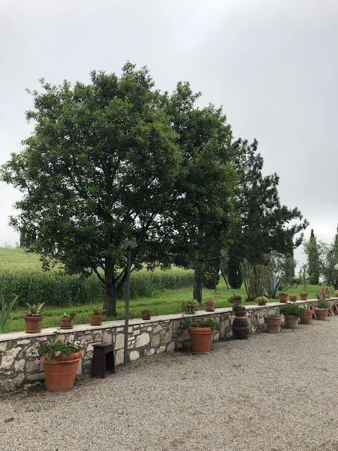 Rustico / casale a Asciano - Foto 4