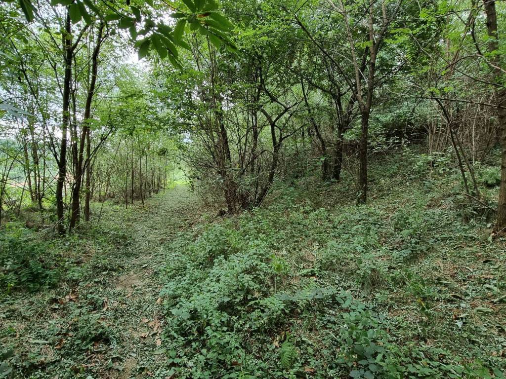 Terreno a Castello di brianza in Via Valmara - Foto 2