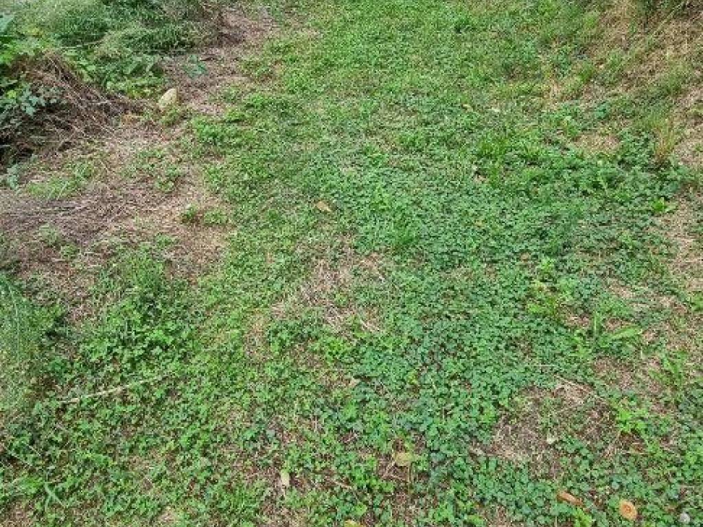Terreno a Castello di brianza in Via Valmara - Foto 4