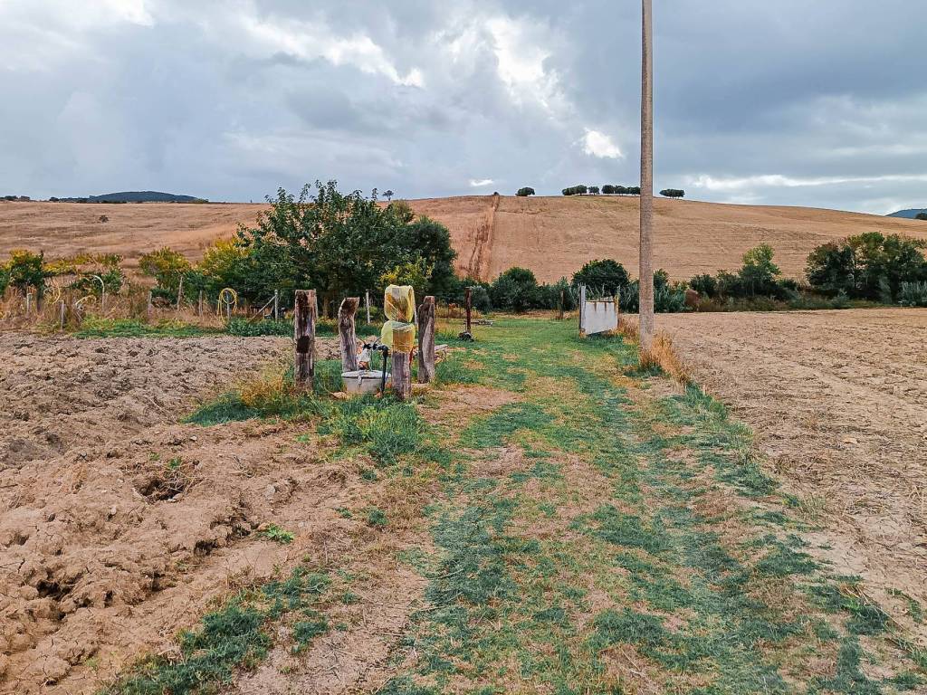 Terreno a Tarquinia in Località Farnesiana - Foto 2