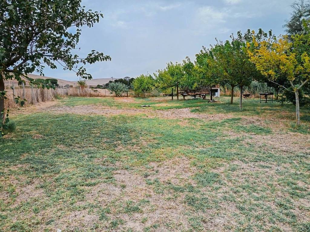 Terreno a Tarquinia in Località Farnesiana - Foto 3