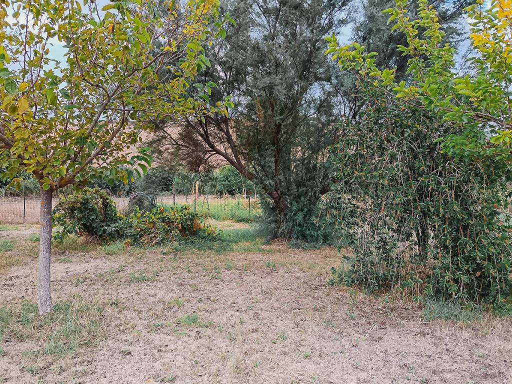 Terreno a Tarquinia in Località Farnesiana - Foto 4
