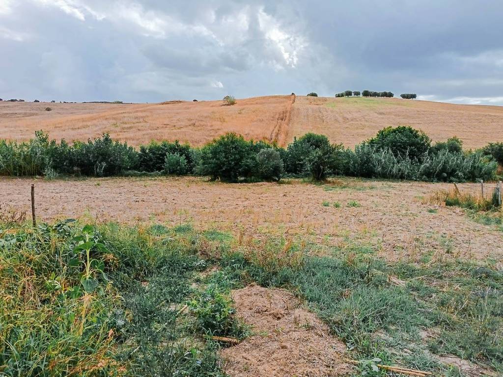 Terreno a Tarquinia in Località Farnesiana - Foto 5