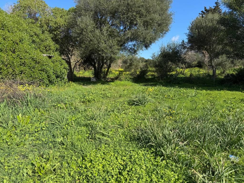 Terreno a Gonnesa - Foto 2