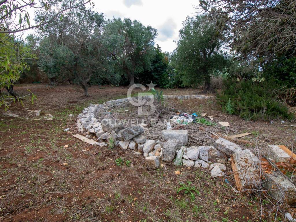 Rustico / casale a Ostuni in Strada Comunale Ostuni San Michele - Foto 4