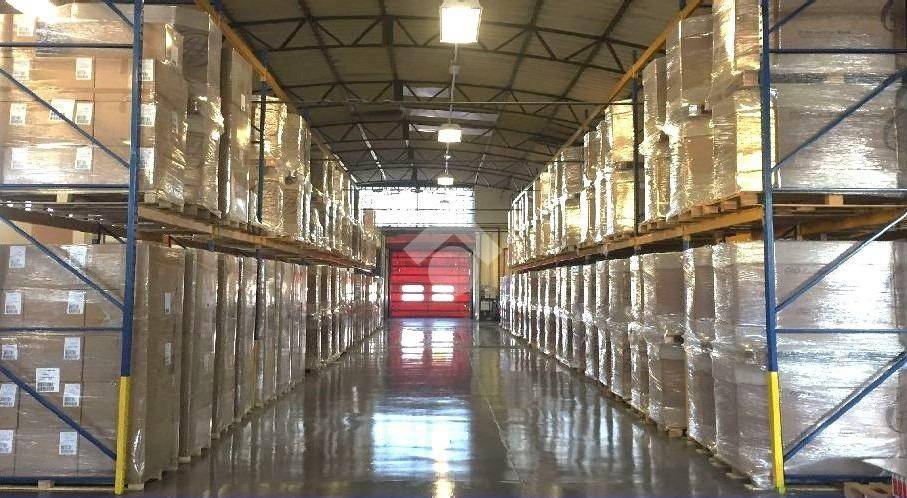 Immobile a Basaluzzo in Via Novi, 44 - Foto 5