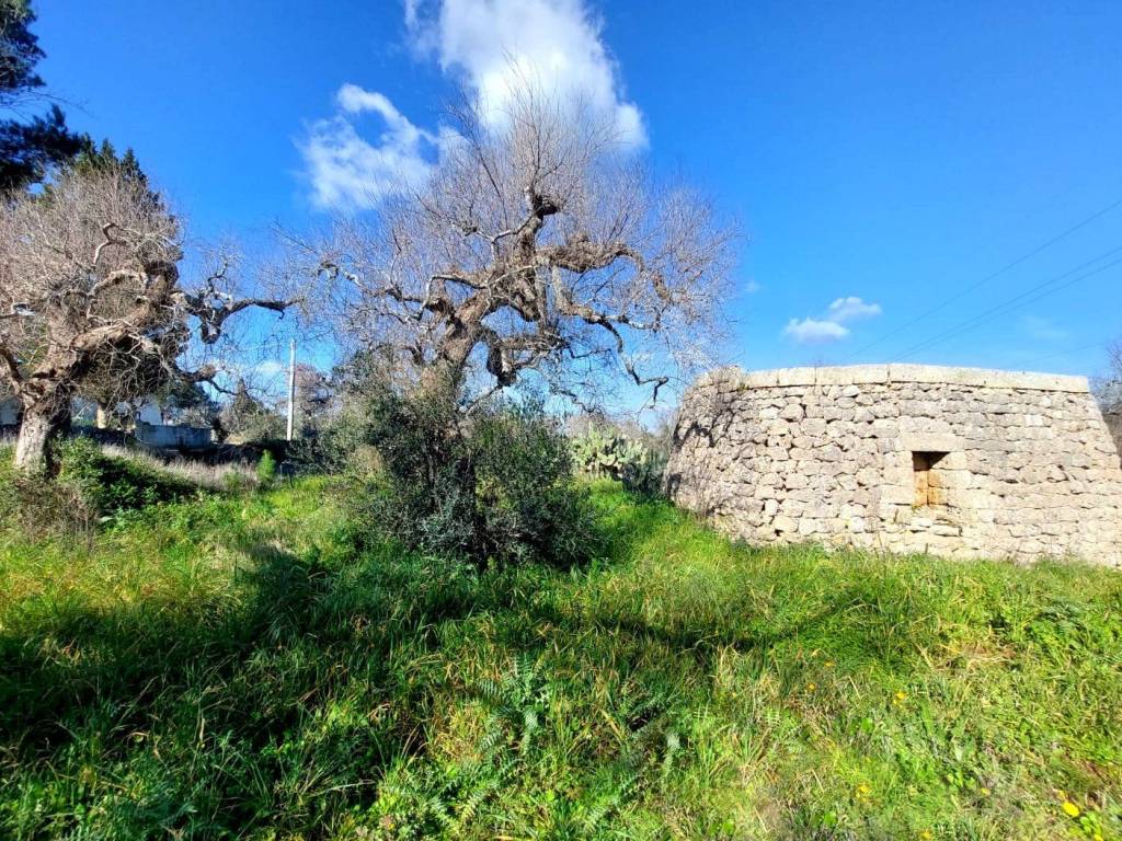 Terreno a Alessano in Ctr donnaire - Foto 2