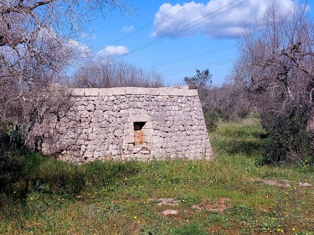 Terreno a Alessano in Ctr donnaire - Foto 3