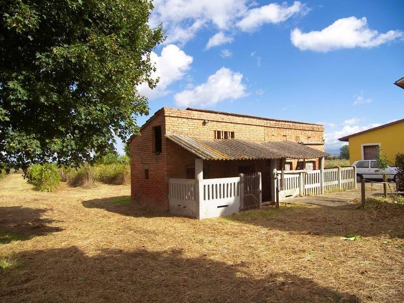 Casa indipendente a Montepulciano - Foto 4