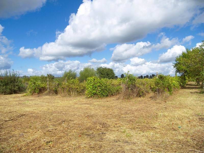 Casa indipendente a Montepulciano - Foto 5