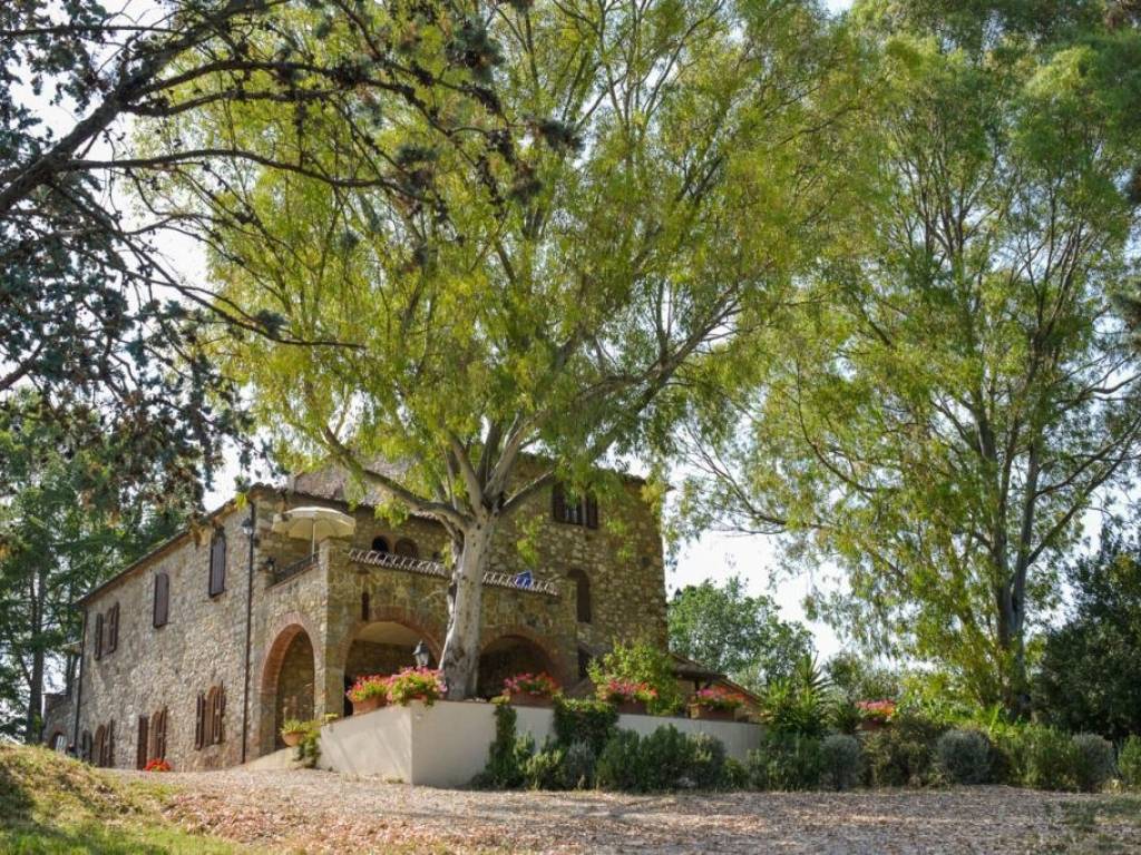Rustico / casale a Gavorrano - Foto 2