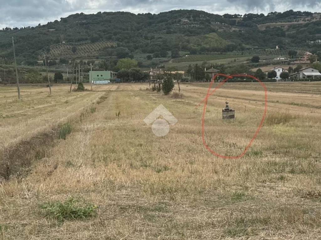 Terreno a Cannara in Vocabolo Ceretagna - Foto 3