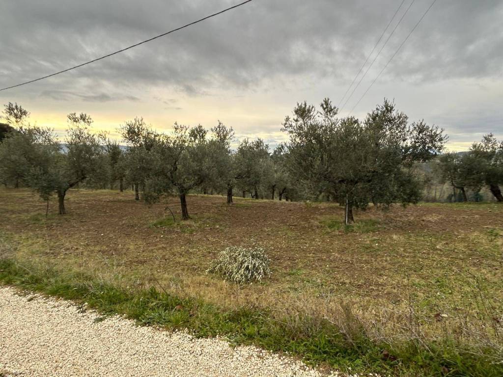 Terreno a Spoltore in Via Quagliera - Foto 2