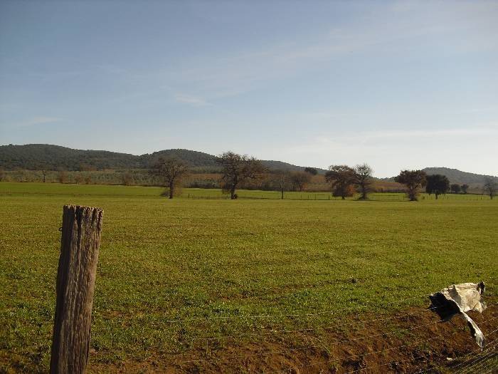 Immobile a Grosseto - Foto 5