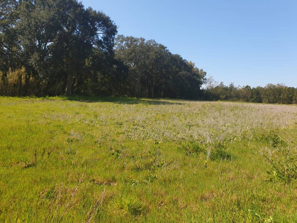 Terreno a San felice circeo in Via Trilussa - Foto 3