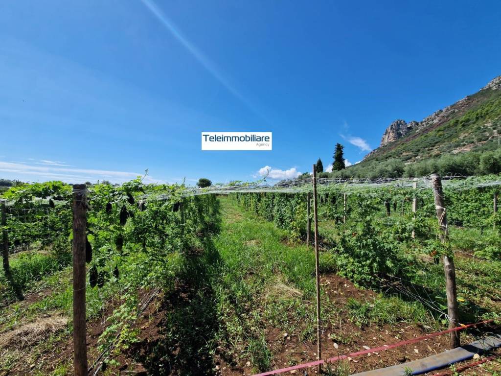 Terreno a Terracina in Via Caselle, 2 - Foto 2