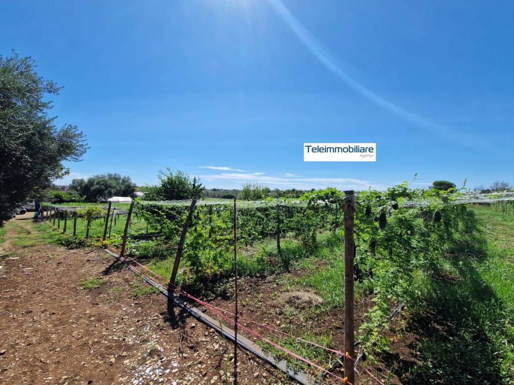Terreno a Terracina in Via Caselle, 2 - Foto 3