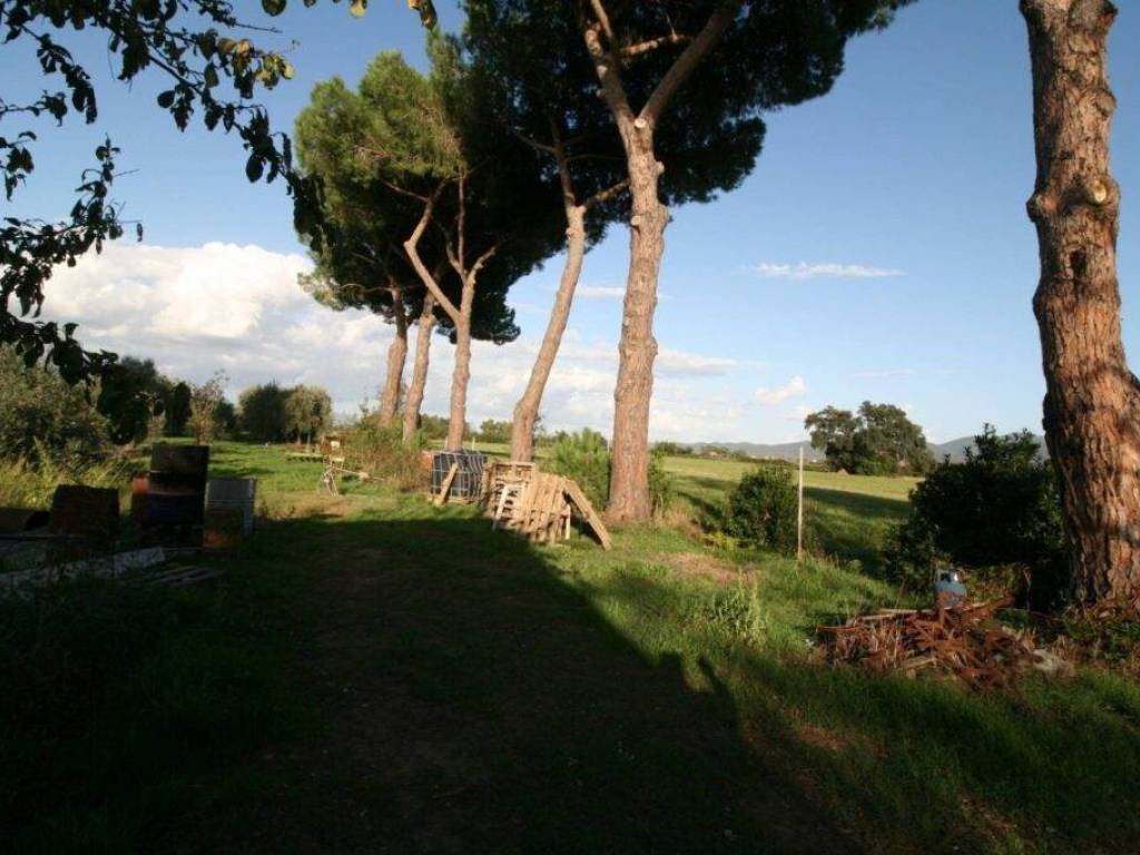 Rustico / casale a Roccastrada - Foto 3