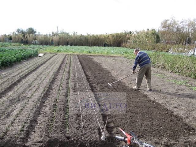 Terreno a Venezia in Via Lido - Malamocco - Foto 2