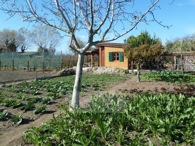 Terreno a Venezia in Via Lido - Malamocco - Foto 5