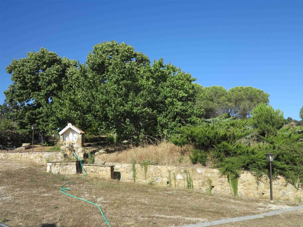 Rustico / casale a Manciano - Foto 3