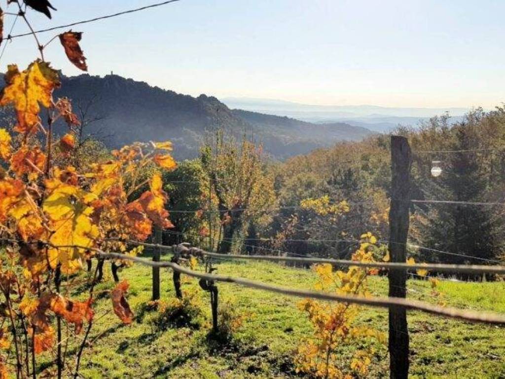 Rustico / casale a Roccastrada - Foto 4