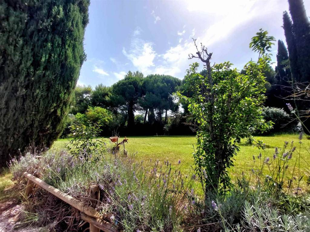 Rustico / casale a Campiglia marittima - Foto 5