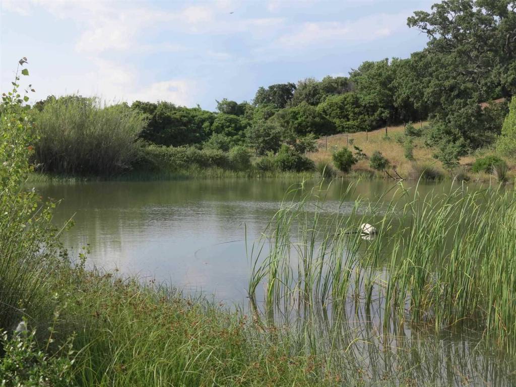 Rustico / casale a Magliano in toscana - Foto 2