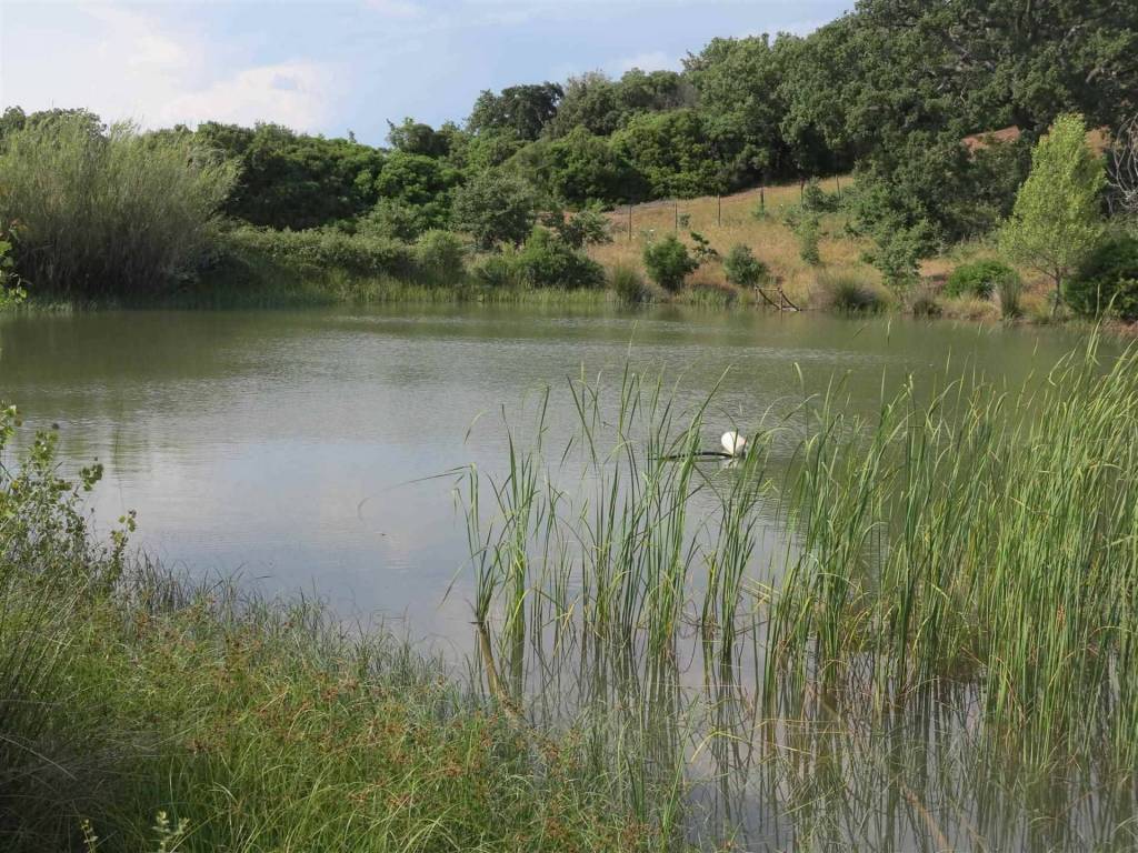 Rustico / casale a Magliano in toscana - Foto 3