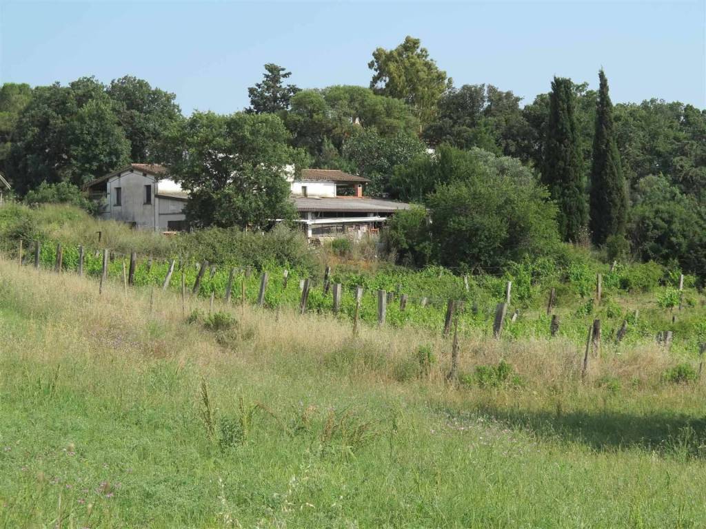Rustico / casale a Magliano in toscana - Foto 5