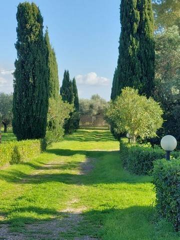 Rustico / casale a Capalbio - Foto 3