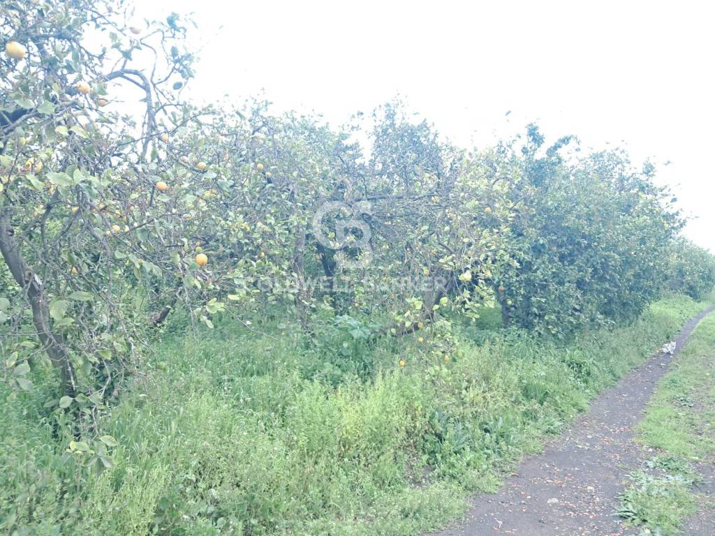 Terreno a Acireale - Foto 3