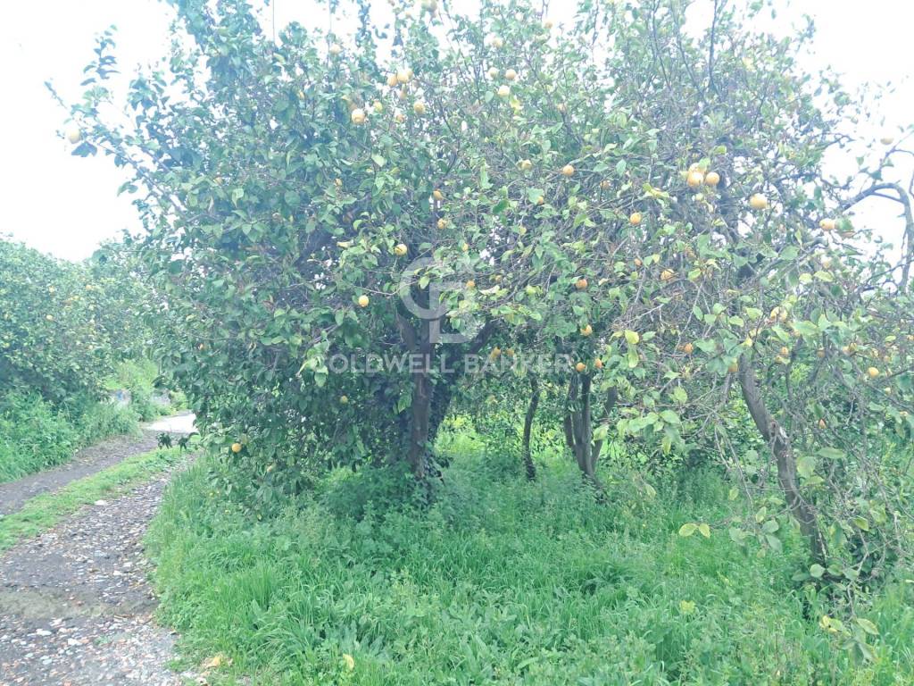 Terreno a Acireale - Foto 4