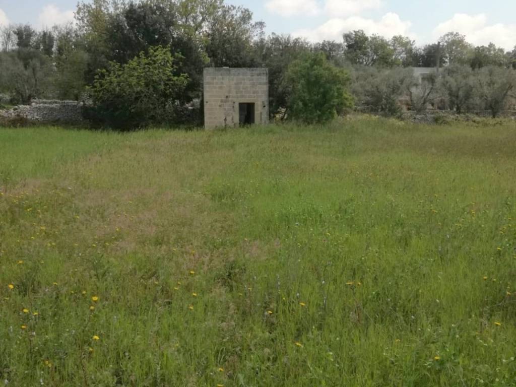 Terreno a Poggiardo - Foto 3