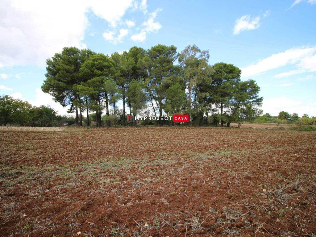 Terreno a Martina franca in Str. Carlo - Foto 4