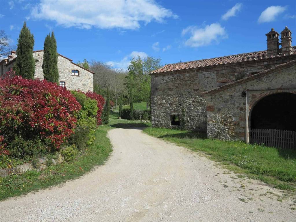 Rustico / casale a Montieri - Foto 5