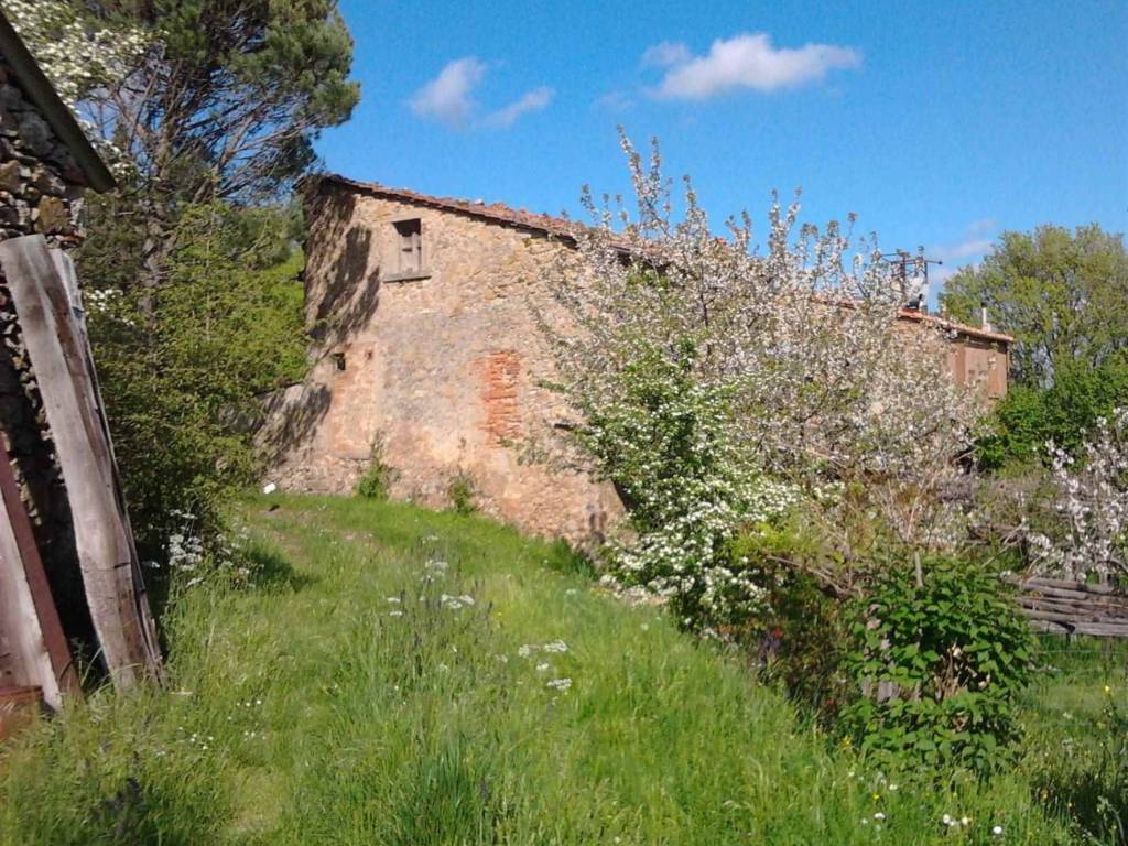 Rustico / casale a Montieri - Foto 2