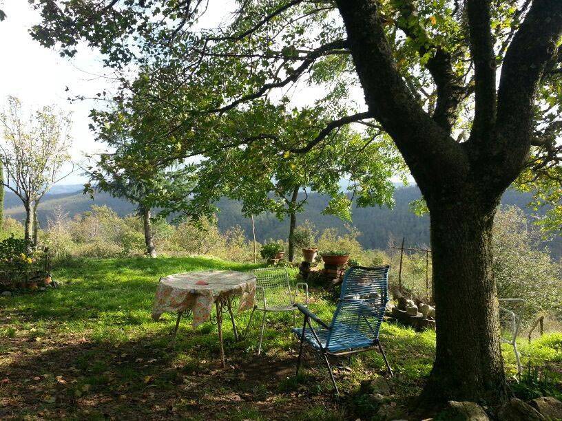 Rustico / casale a Montieri - Foto 3