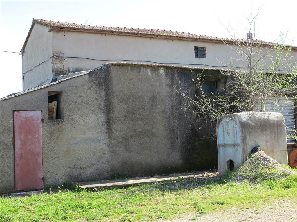 Rustico / casale a Gavorrano - Foto 3