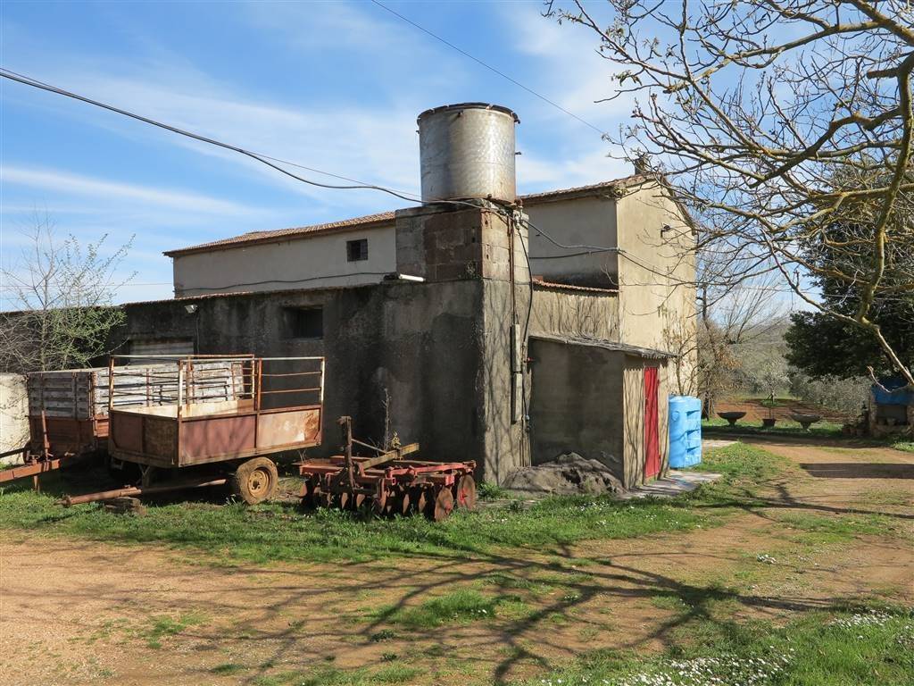 Rustico / casale a Gavorrano - Foto 4
