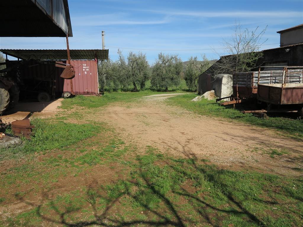 Rustico / casale a Gavorrano - Foto 5