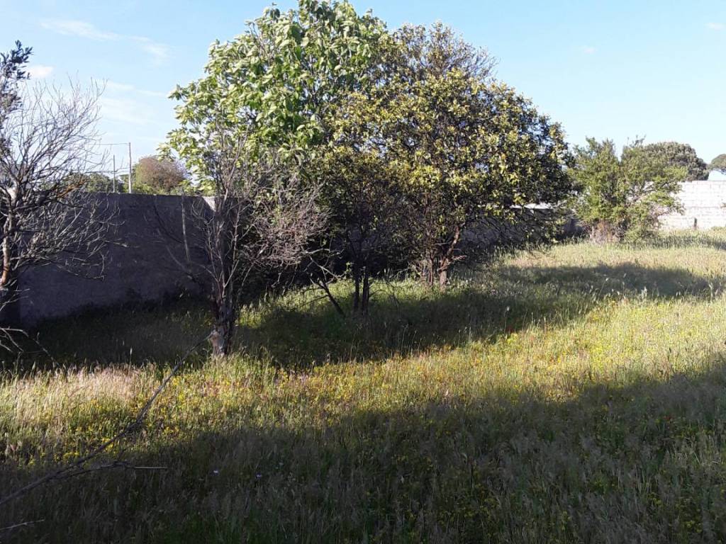 Terreno a Maglie in Via Comunale Esterno Fraganite - Foto 2