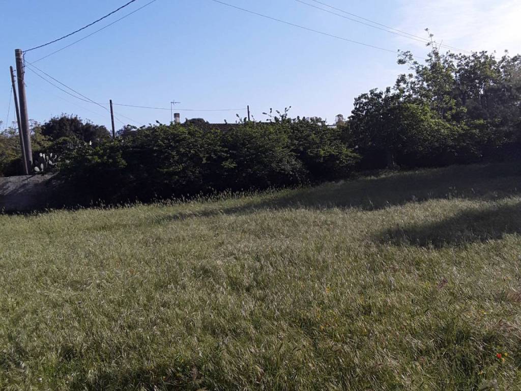 Terreno a Maglie in Via Comunale Esterno Fraganite - Foto 3