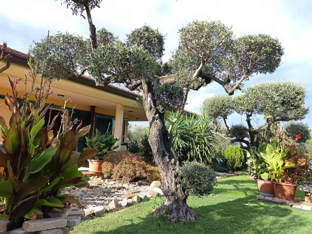 Villa a Santarcangelo di romagna - Foto 5