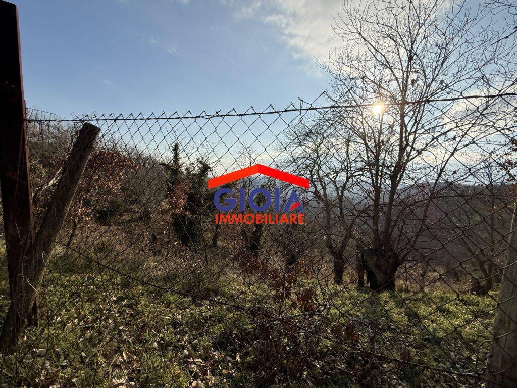 Terreno a Roccamonfina in roccamonfina - Foto 2