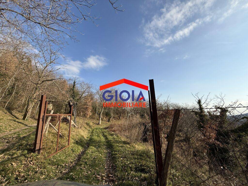 Terreno a Roccamonfina in roccamonfina - Foto 3